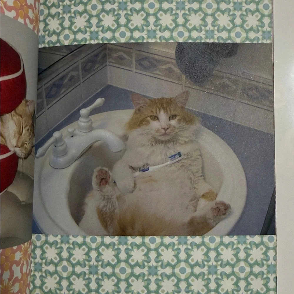 Stuff on My Cat Book - Multicolor